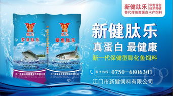 水車(chē)?yán)疚r市寒，暴雨突襲珠三角市場(chǎng)慘淡